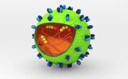 virus