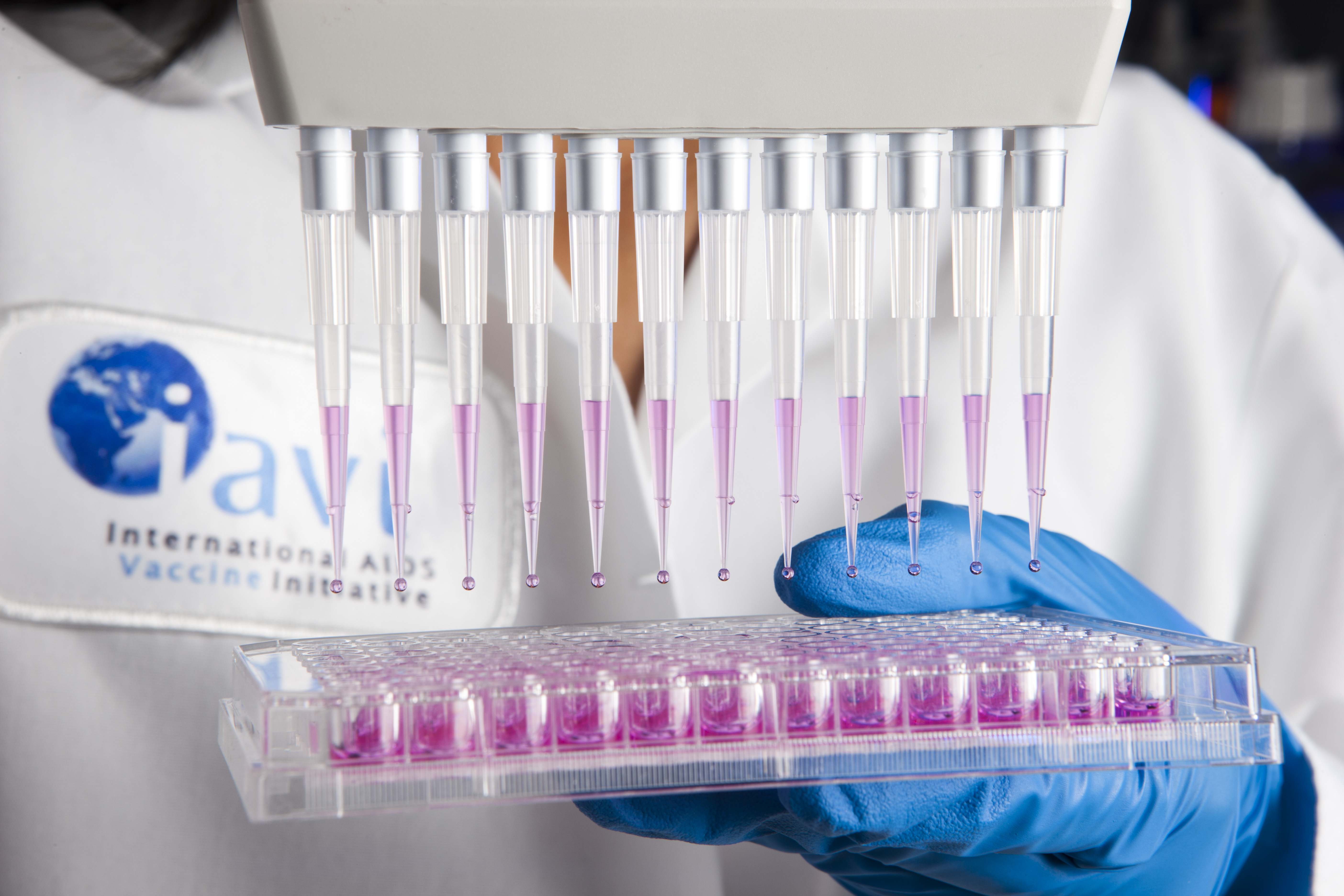 The IAVI Design and Development Lab (DDL) is the hub of IAVI research and development in the quest for an AIDS vaccine.  The DDL is the only laboratory in the world exclusively focused on AIDS vaccine research.  The DDL meets the highest industry standard