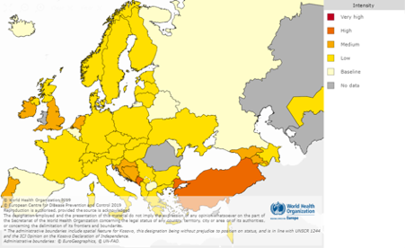 Influenza pandemic europe