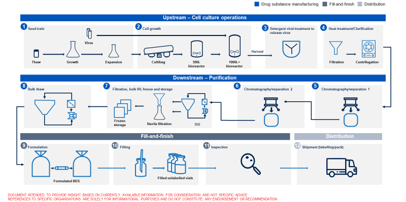 Key steps in making vaccines