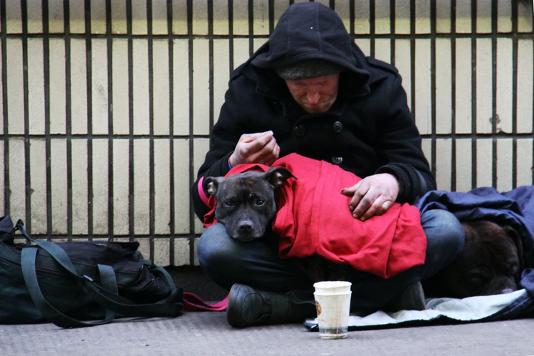 Homeless and dog