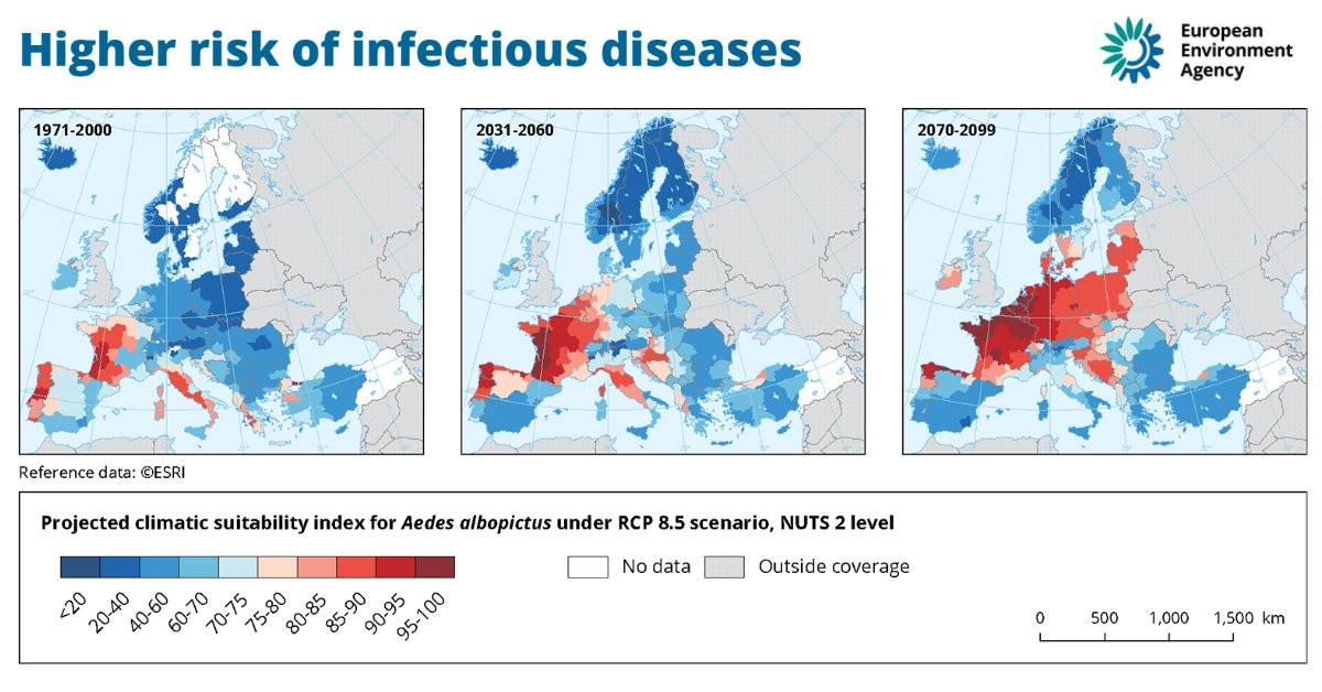 As a result of climate change, mosquitoes that transmit dengue fever, like the mosquito, Aedes albopictus, are projected to increase, leading to higher risk of outbreaks. (Source European Environment Agency)
