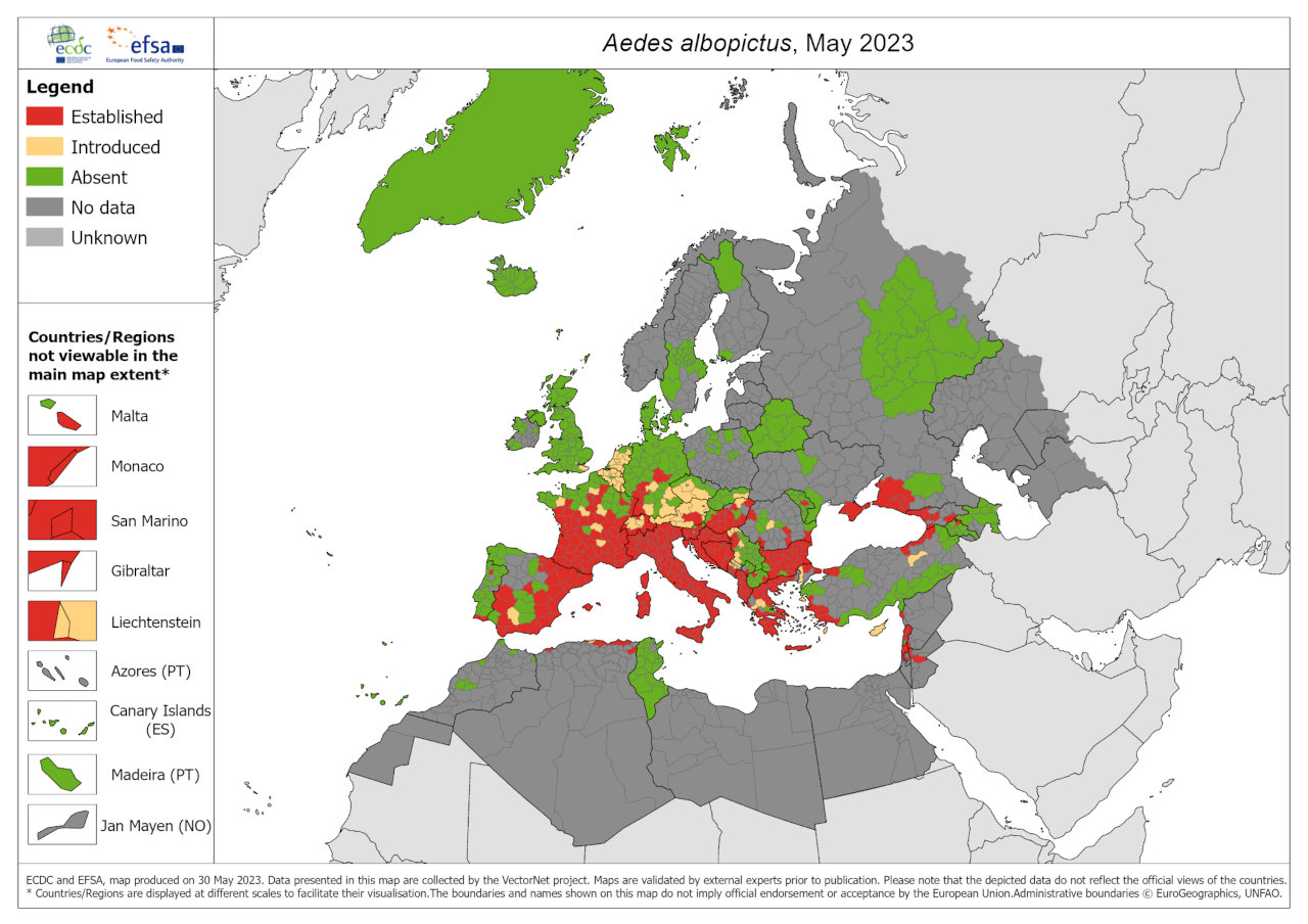 Aedes albopictus cases in Europe in 2023